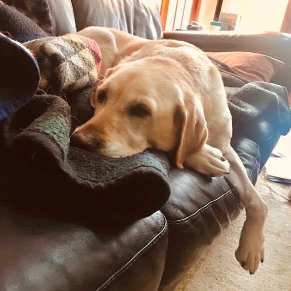 Meet your Posher, Jaclyn - Picture 5 of 7